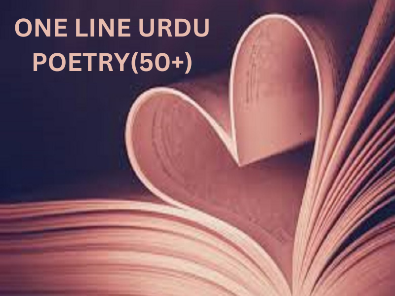 ONE LINE URDU POETRY