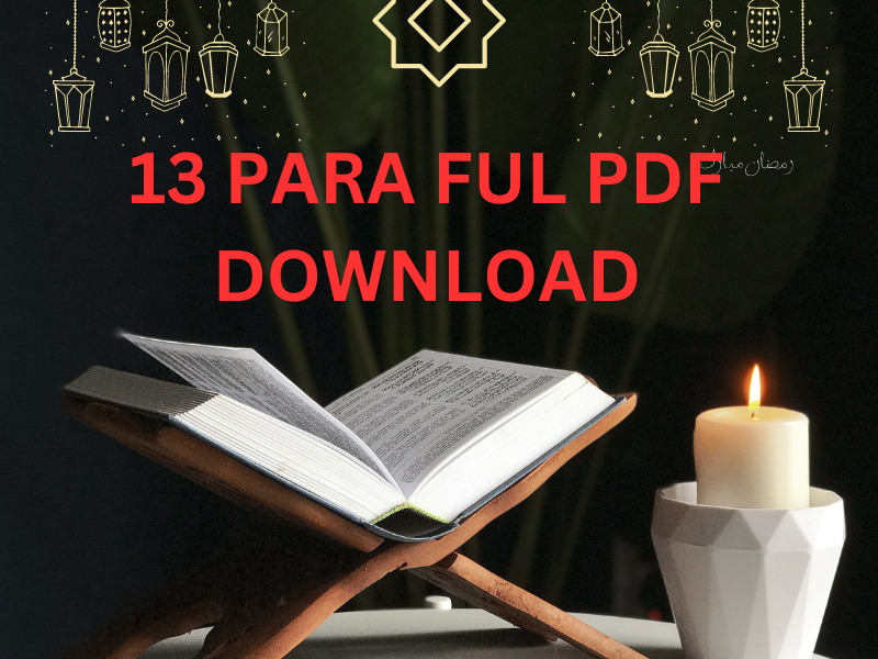 13 para pdf